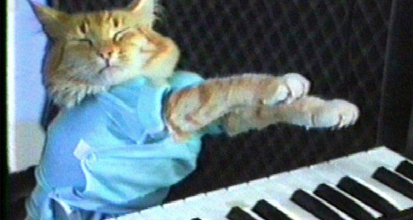 keyboardcat